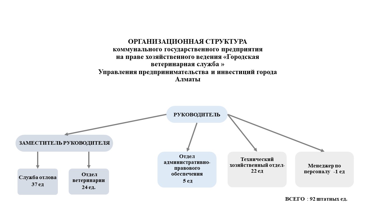 15.07.24-орг-структура-1-утв-русс.jpg