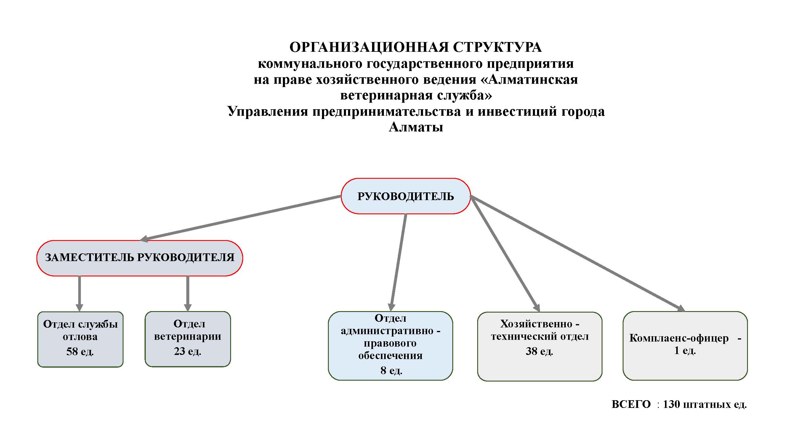 орг_структура_КГП.jpg
